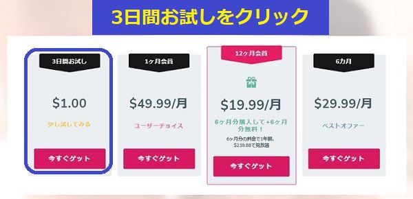 javhdの1ドルプランからの1か月会員半額入会方法2